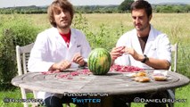 Rubber bands vs Water Melon - The Slow Mo Guys