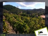 Terrain A vendre Villeneuve les corbieres - 189 000 Euros