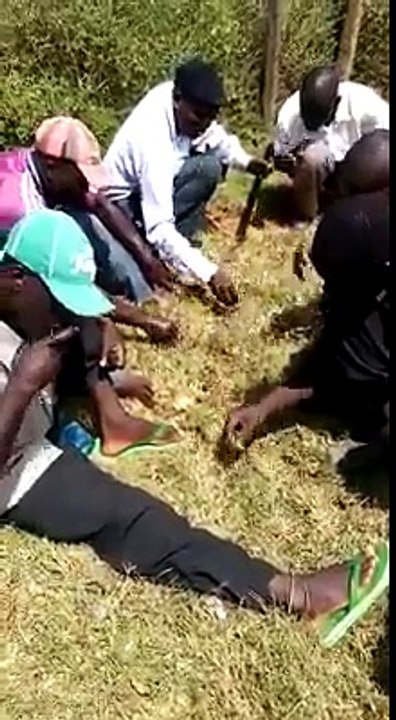 Insolite: ces gens mangent du gazon!