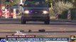 Police ID man involved in deadly hit and run crash in Phoenix