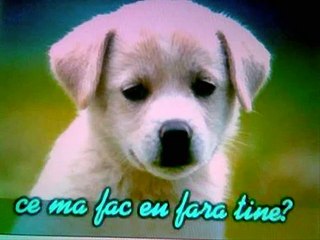 melodie de dragoste !!(suflet pustiu)!!!.wmv