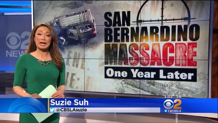 Boo Hoo...! Christmas Party may have triggered St Bernadino shooting. What a crock....