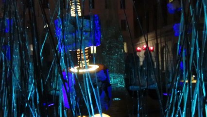 Fête des Lumières 2016 Lyon Arbore'lum