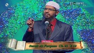 Dr Zakir Naik, Ilaalchota dogongoraa kutaa 2ffaa, Jihaada