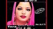 Jeeto Lambrhan Di (Remix) | Tera Giddha Nee | Superhit Punjabi Songs | Romey Gill