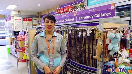 +KOTA ¿Cómo elegir la correa ideal para tu maskota