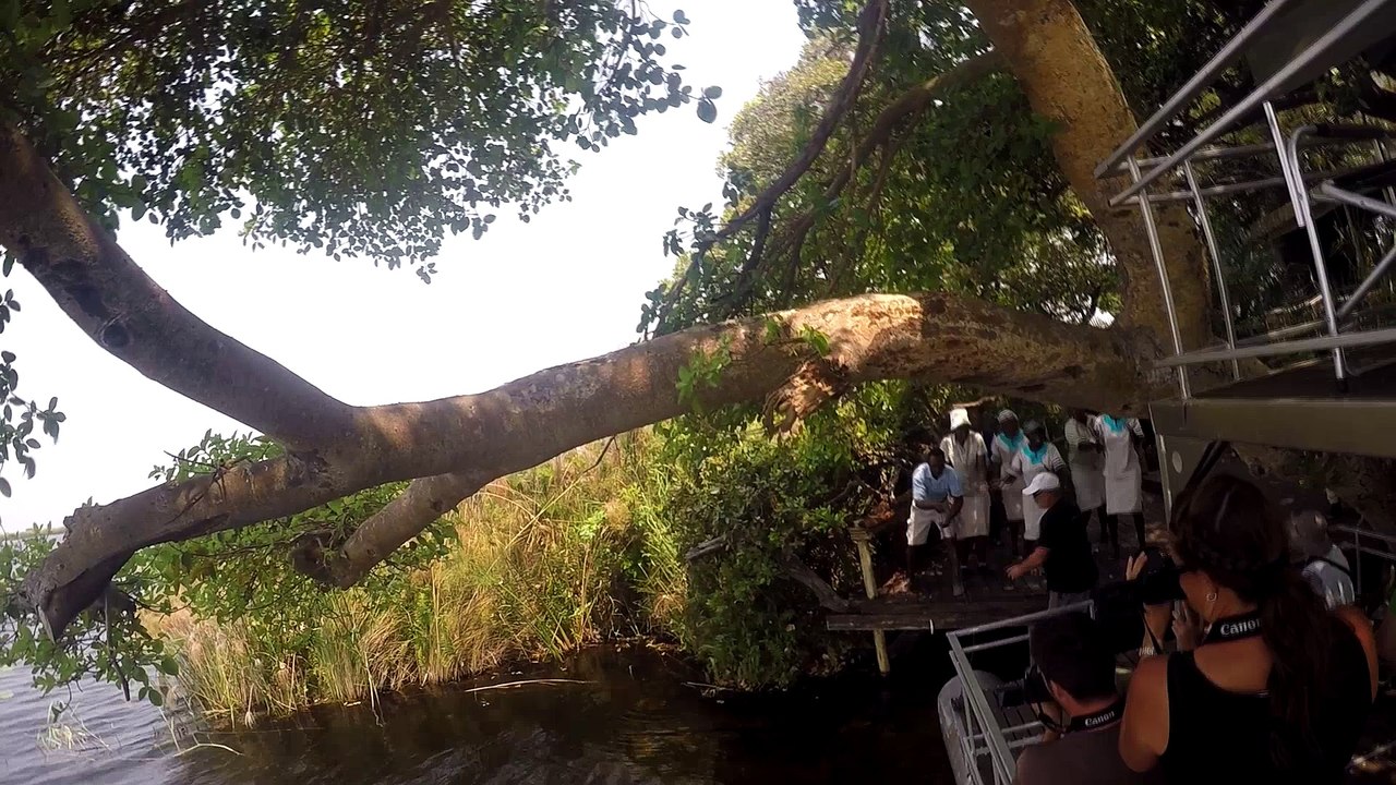 Summer 2016 Part Botswana & Zimbabwe