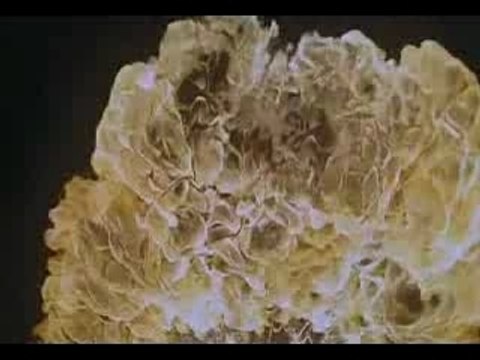 Montage vaisseau Oris Stargate sg1