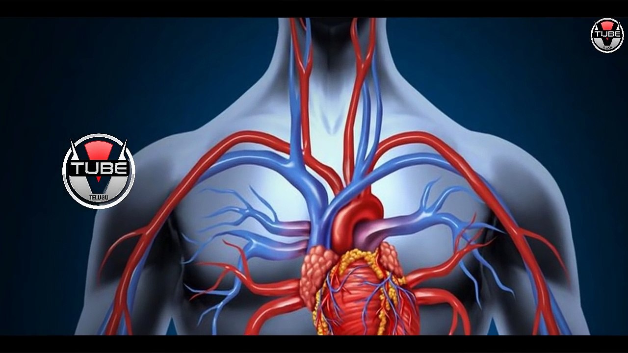 Amazing Health Benefits of ONIONS