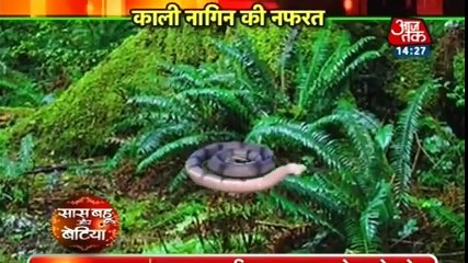 SHESHA Vs SHIVANGI HAAR GAYI - Naagin Season 2 12th December 2016