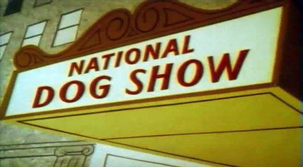 Kratki Crtaci - Price O Psima