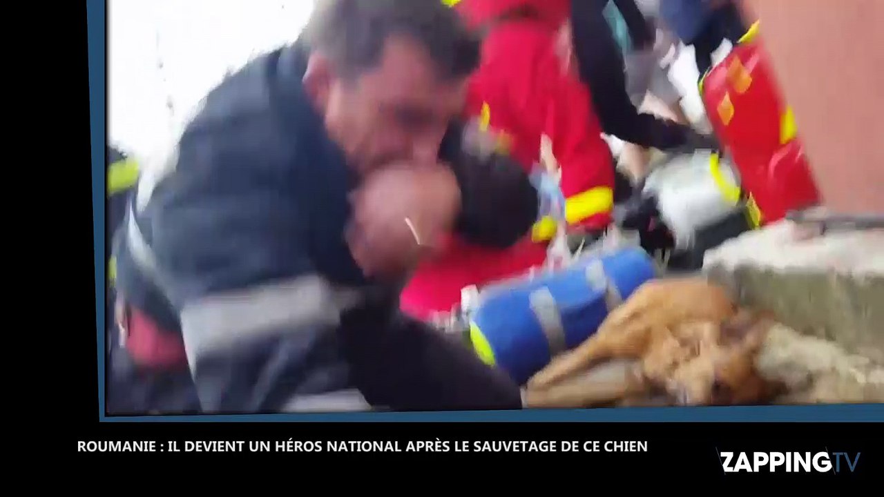 Roumanie : un pompier devient célèbre après avoir sauvé un chien grâce à un bouche-à-bouche (vidéo)