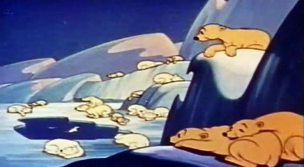 Kratki Crtaci - Razigrane Polarne Mede