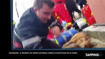 Roumanie : un pompier deent célèbre après avoir sauvé un chien grâce à un bouche-à-bouche (déo)