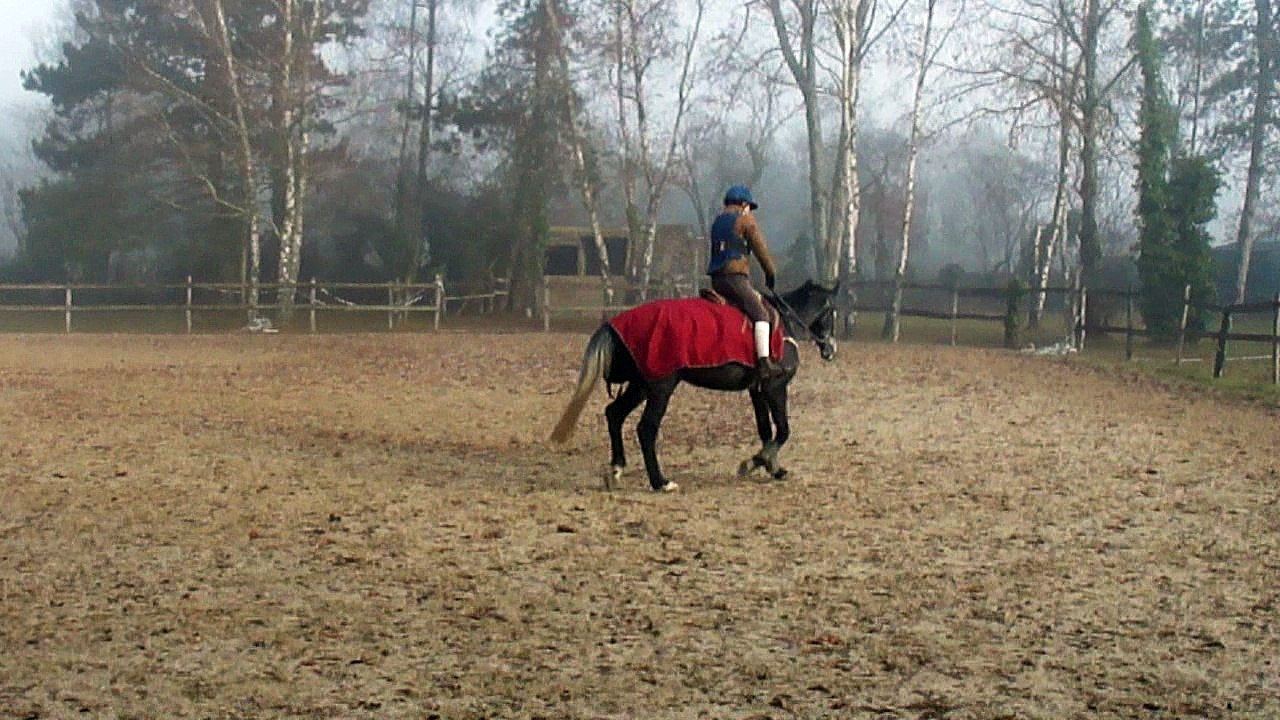 demon de midi à 3 ans M4H02185