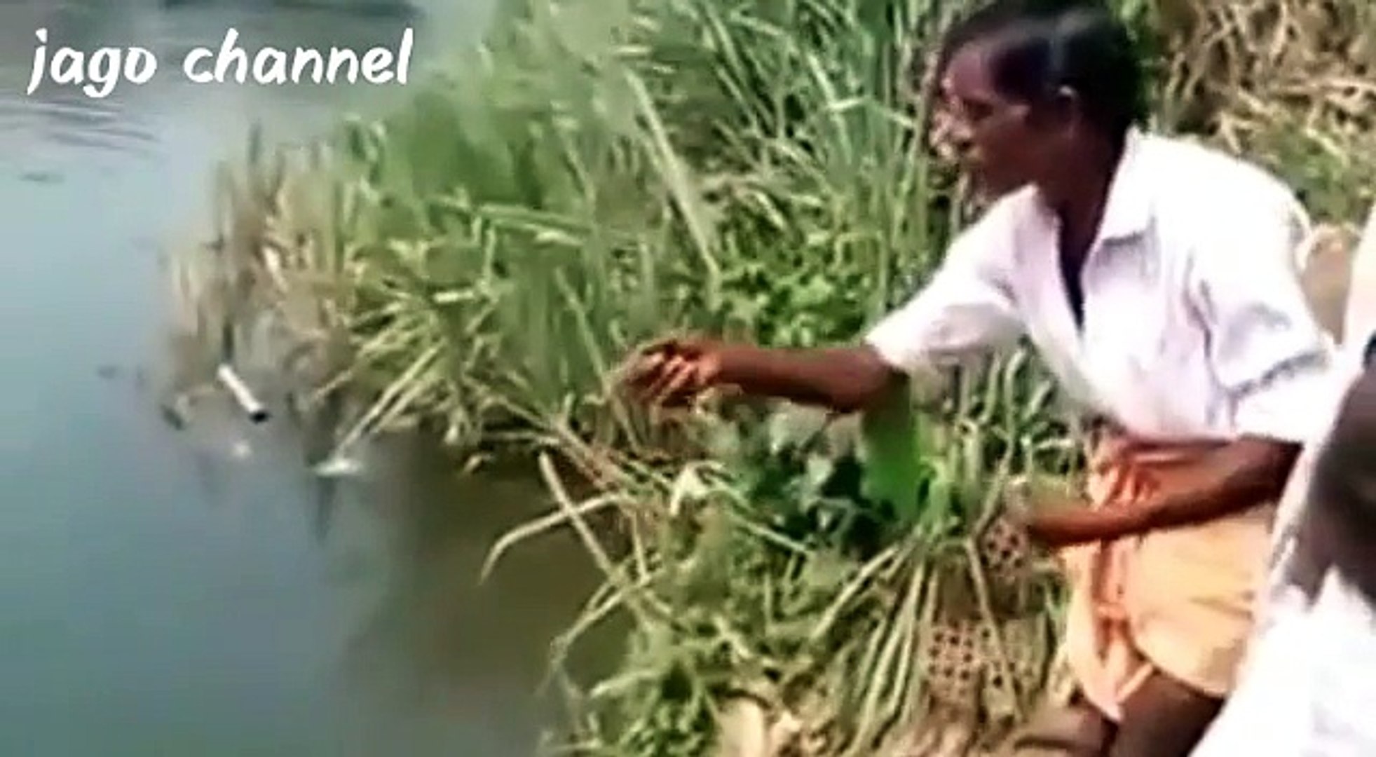 fishing piranha