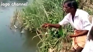 fishing piranha