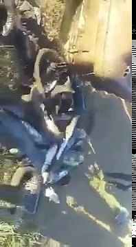 Вот это я понимаю рыбалка