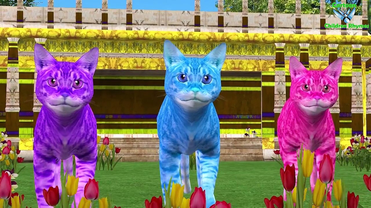 Learning Animals Music And Names For Children Kids And Toddlers || Learn Wild Animals Names