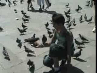Piazza San Marco - les pigeons