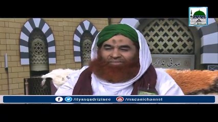 سوشل میڈیا پرمدنی طیارہ کے نام سے پھیلنے والی ویڈیو کا امیرِاہلسنت کی طرف سے جواب