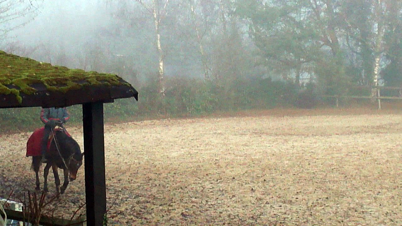 big bisou dec 2016 M4H02184