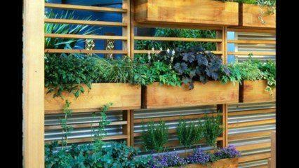 Projet Science Factor 2016 le potager accessible