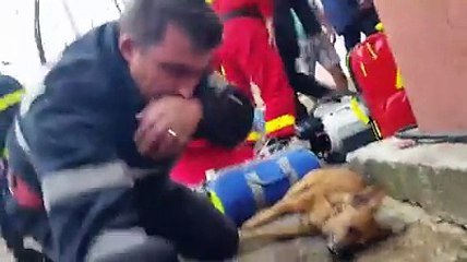 Il sauve un chien en lui faisant du bouche à bouche