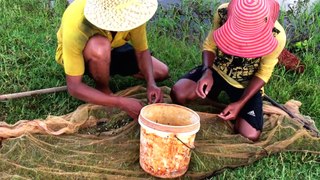 Beautiful Girl Fishing | Amazing Fishing at Poipet | Cambodia Traditional Fishing