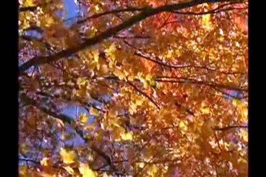 Amor Incondicional - Versão Mística de Wind of Change (Scorpions)