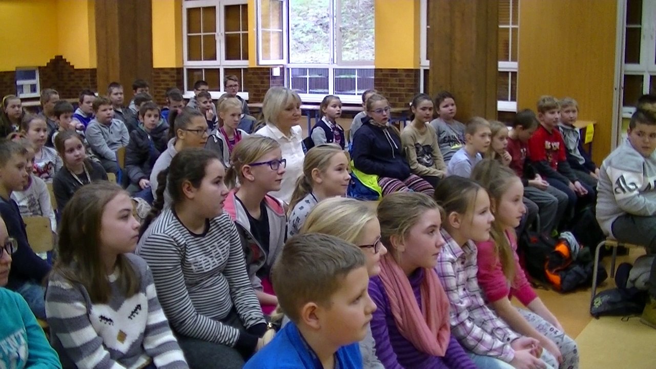 Cztery pory roku w lesie