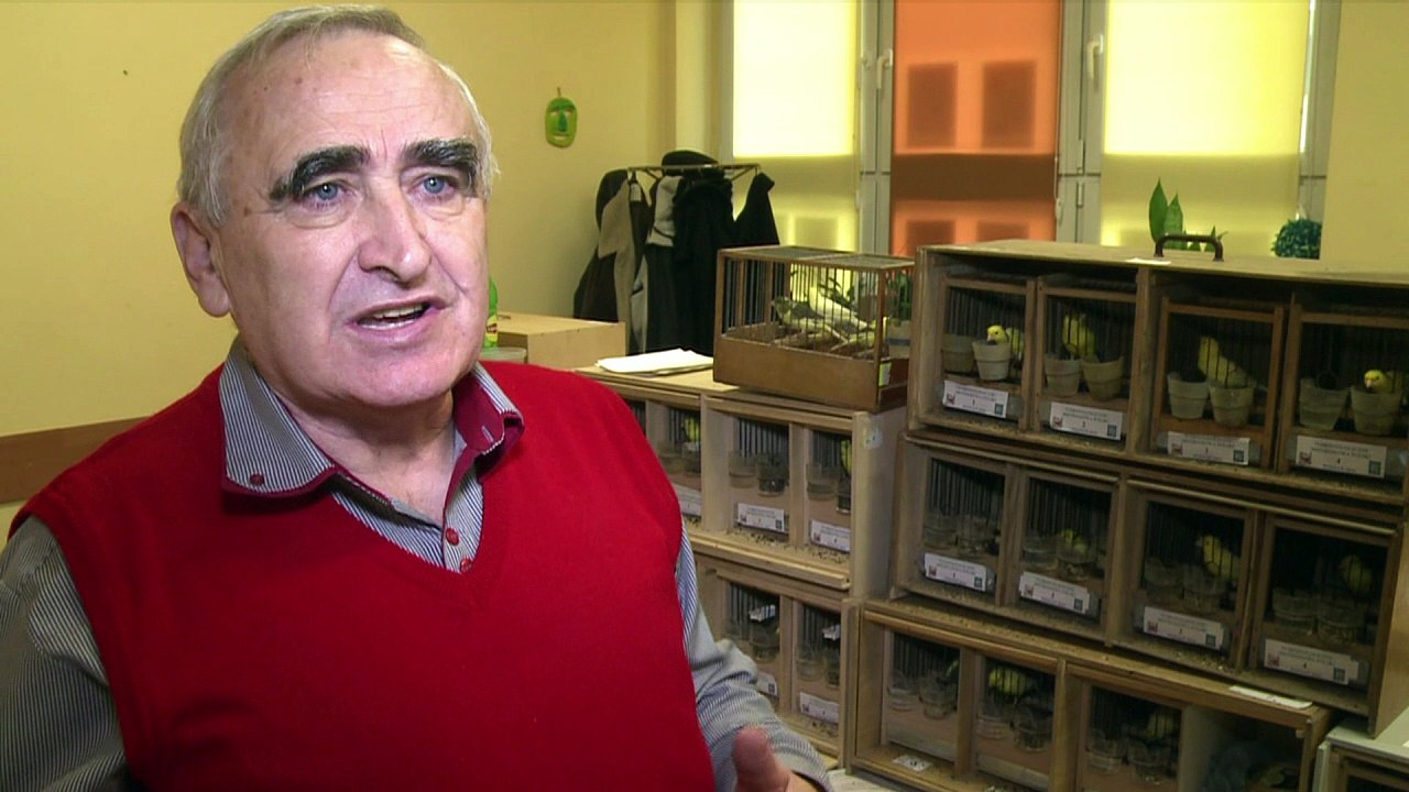 Polen sucht den Super-Singvogel