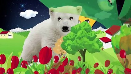 Twinkle Twinkle Little Star (Polar Bear)