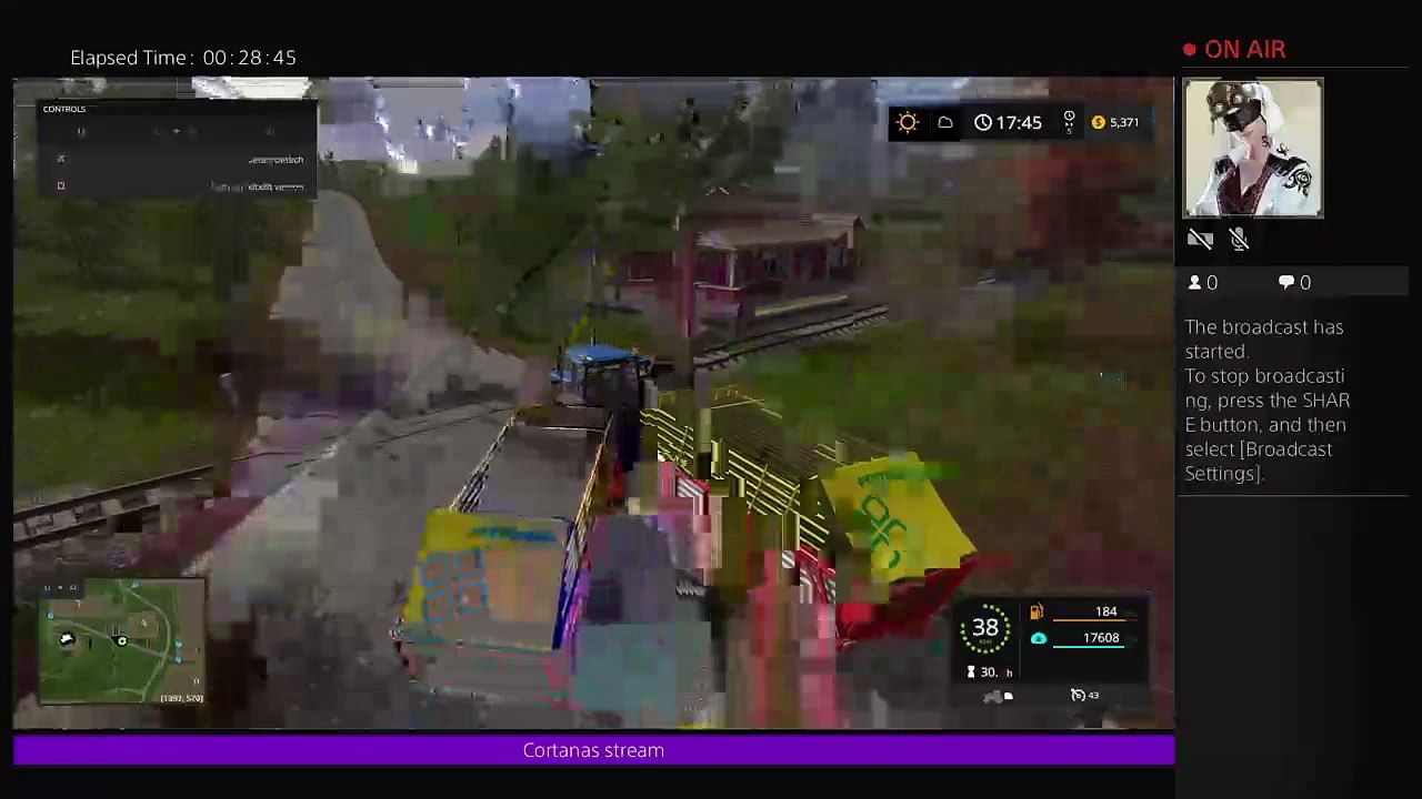 Cortanas stream (7)