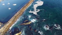 Beautiful beaches and ocean waves of southern California in 4K Video by DJI Phamtom 3 UHD