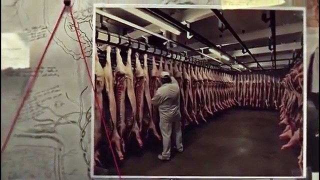 ZOO Saison 1 (Série, Thriller) - Bande Annonce FilmsActu