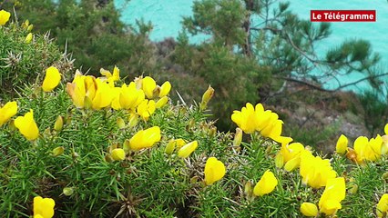 Bretagne. Le zapping du week-end