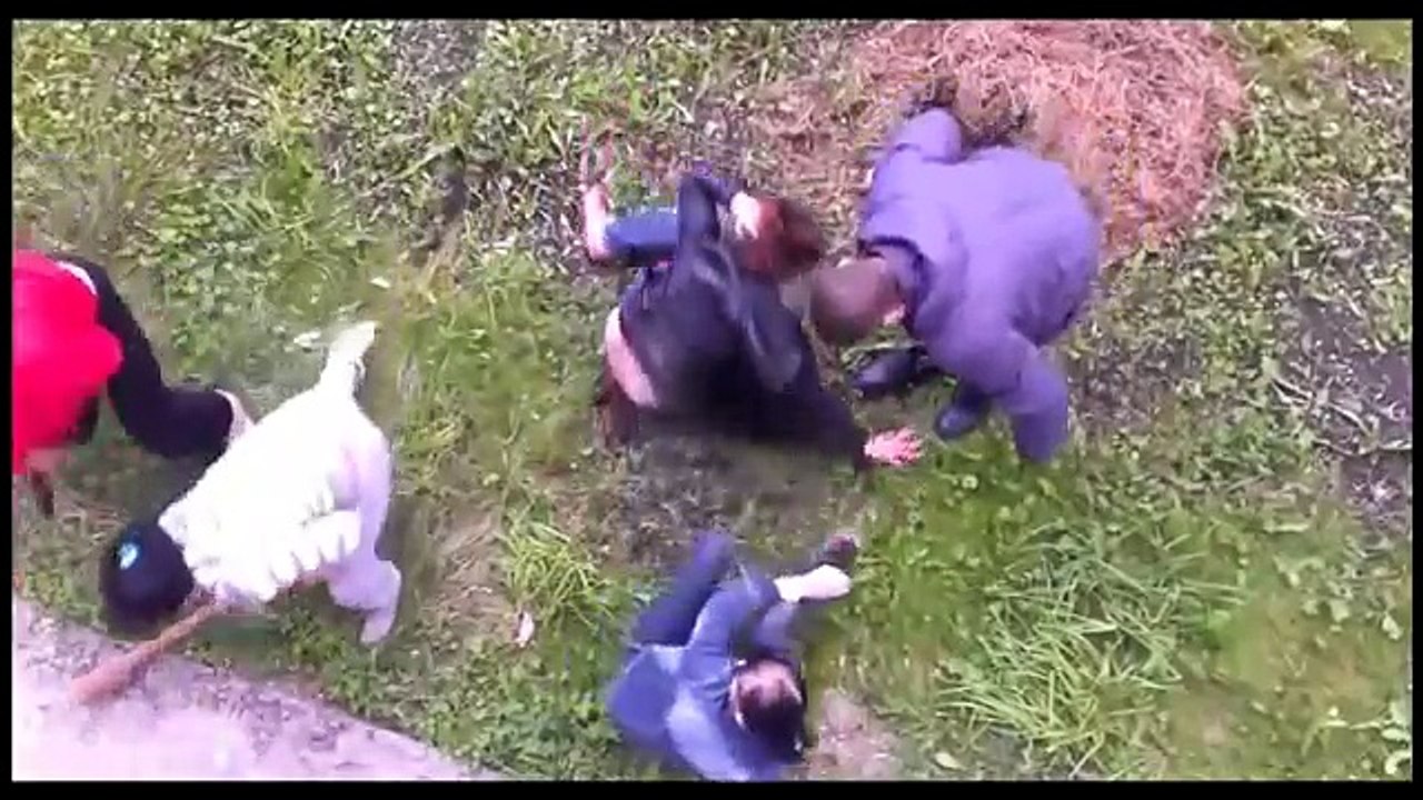Baseball bat of head Russian street fight