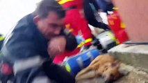 Un pompier sauve un chien en lui faisant du bouche à bouche