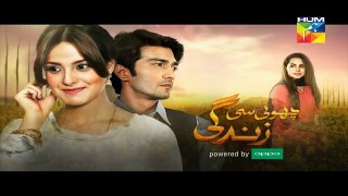 Choti Si Zindagi Episode 5 Promo HD HUM TV Drama 25 October 2016