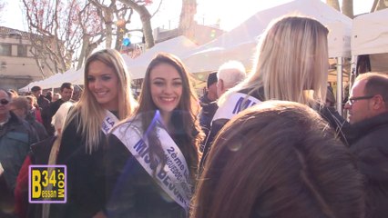 9ème Marché de Noël de Bessan - 2016