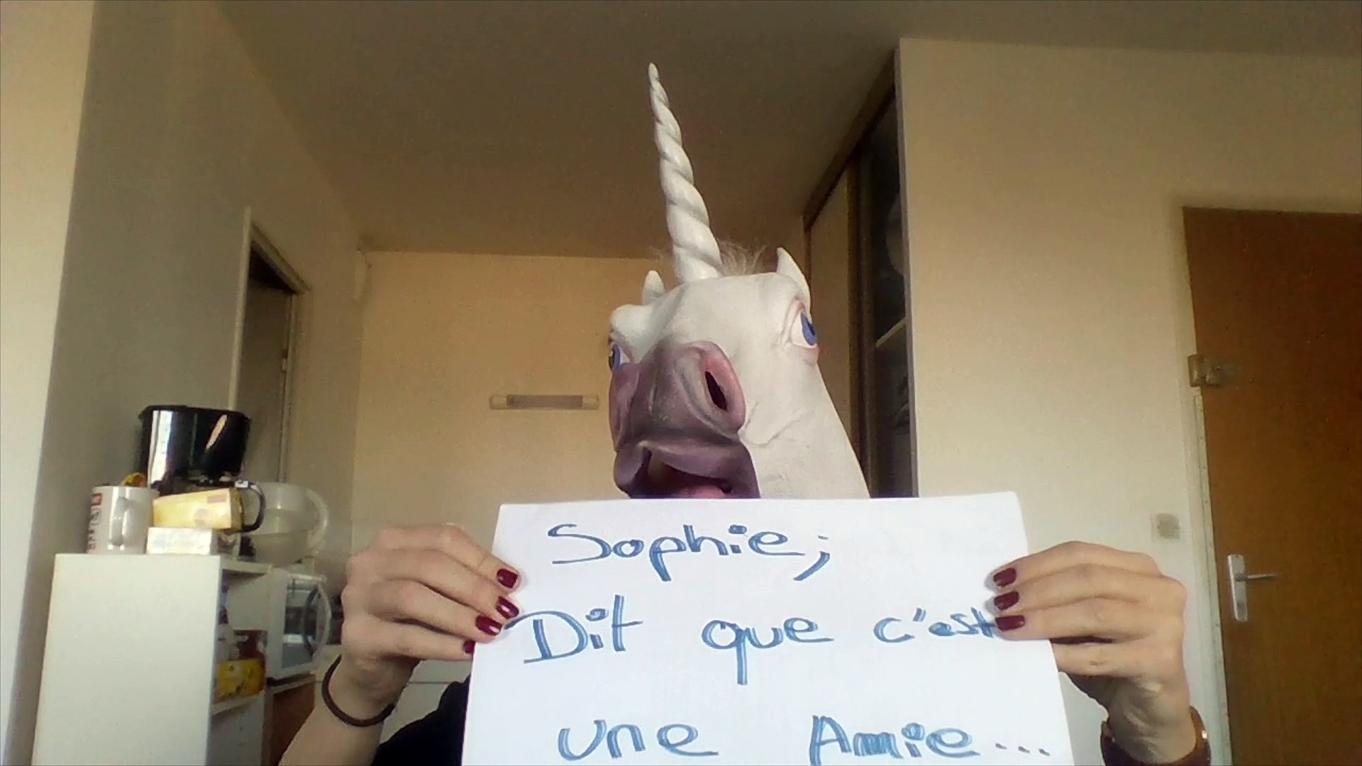Joyeux Anniversaire Sophie Video Dailymotion