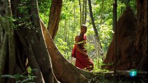 Documental: Los Bosques de Sri Lanka