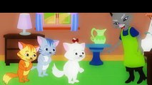 Three Little Kittens & Cat Songs | Popular Nursery Rhymes