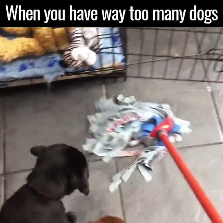 This is my life now