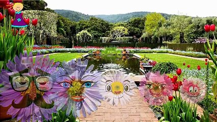 Finger Family Rhymes ASTER Cartoons for Children | ASTER Finger Family Children Nursery Rhymes