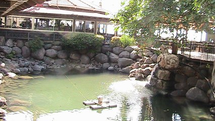 Fish Restaurant near the Sea of Galilee - Israel Tour