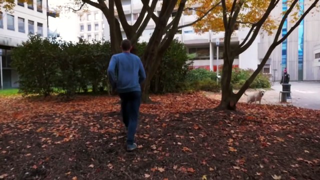 Extreme Parkour and Freerunning 2016