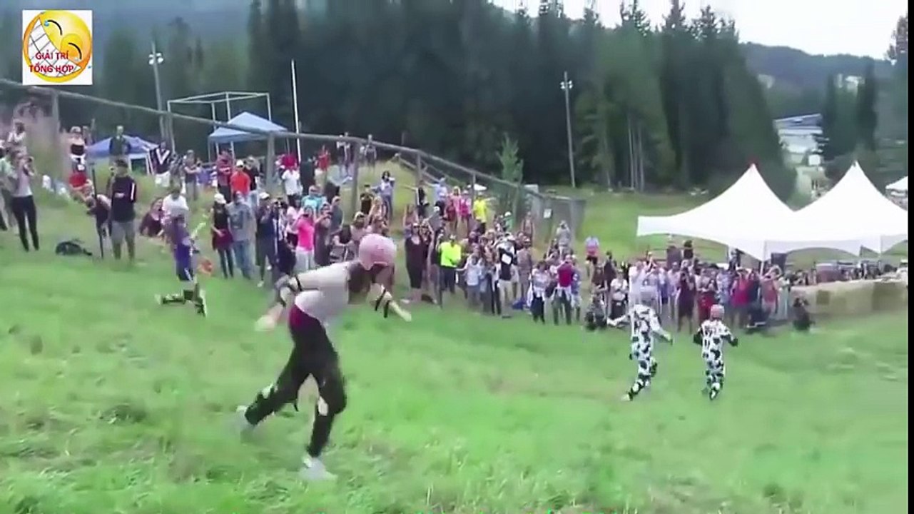 New Funny videos 2016 funny vines try not to laugh challenge