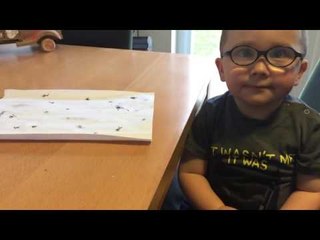 Noel 'Writes' Adorable Letter to Santa